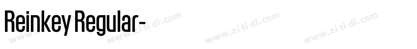 Reinkey Regular字体转换 Reinkey Regular字体转换